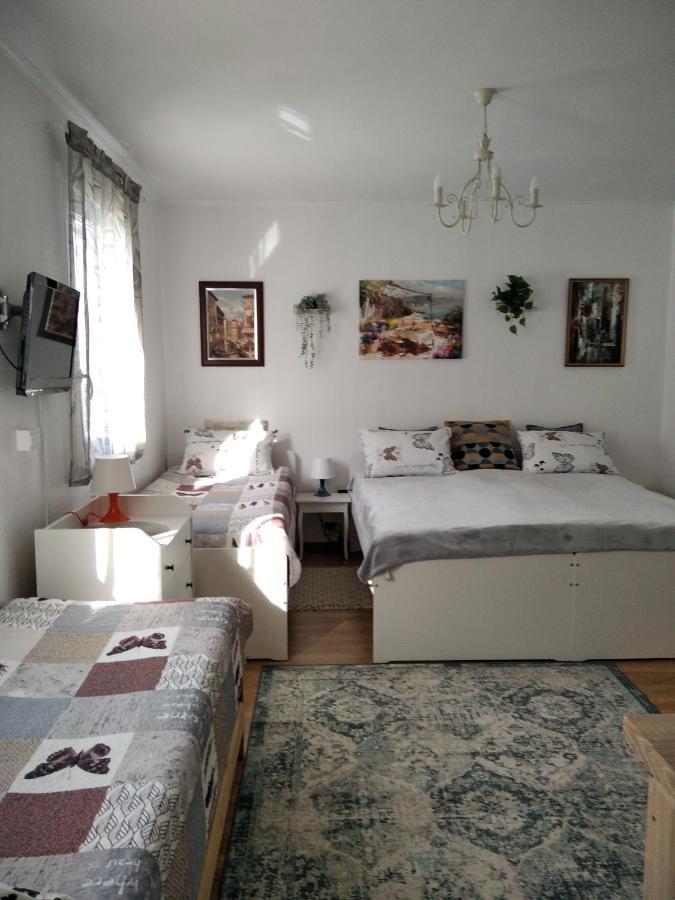 Eco-lux With Free Bicycles End Free Parking Apartment