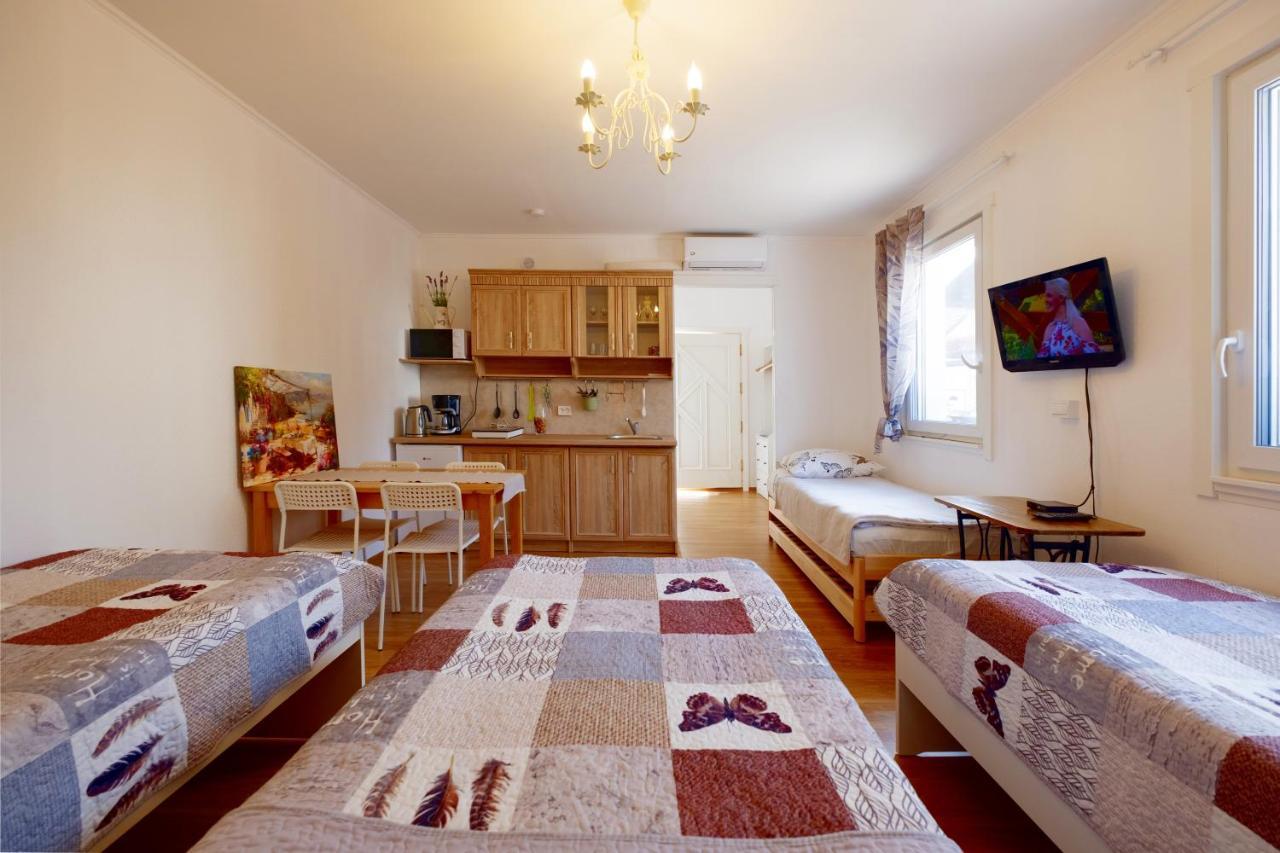 Apartma Eco-lux With Free Bicycles End Free Parking *